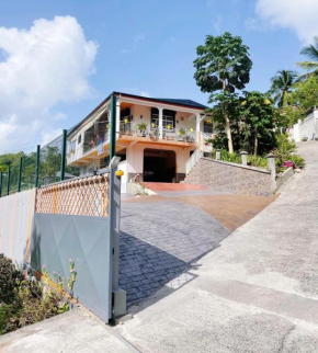 L'appart Ixora climatisé avec terrasse !